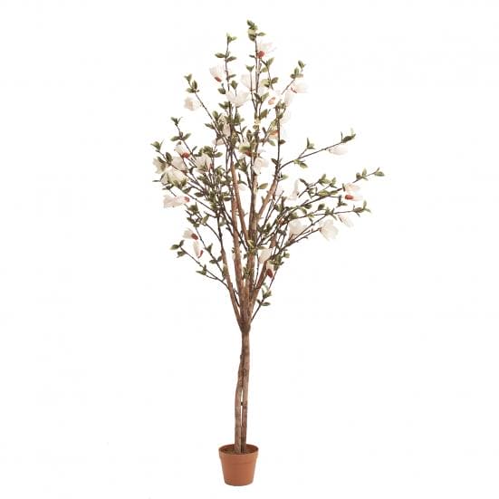 Planta alta magnolia, en color verde