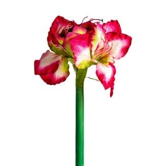 Flor amaryllis, en color fucsia, de estilo clásico. Fabricado en plástico, combinado con poliéster.