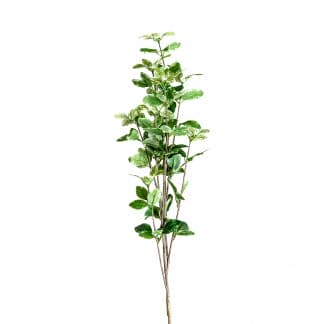 Planta hojas, en color verde, de estilo clásico. Fabricado en plástico, combinado con poliéster.