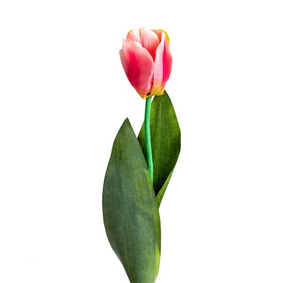 Flor tulipan, en color rosa, de estilo clásico. Fabricado en plástico, combinado con poliéster.