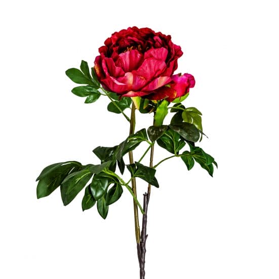 Flor peonia, en color rojo, de estilo clásico. Fabricado en plástico, combinado con poliéster.