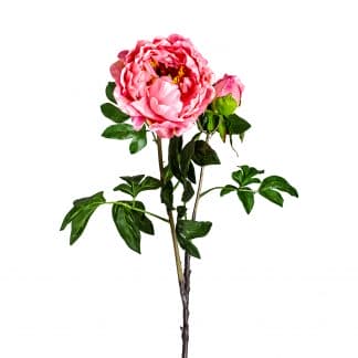 Flor peonia, en color rosa, de estilo clásico. Fabricado en plástico, combinado con poliéster.