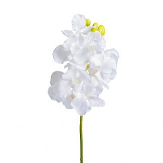 Flor azahar, en color blanco, de estilo clásico. Fabricado en plástico, combinado con poliéster.