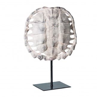 Escultura caparazón tortuga, en color gris, de estilo nórdico. Fabricado en resina, combinado con hierro. Producto desmontable.