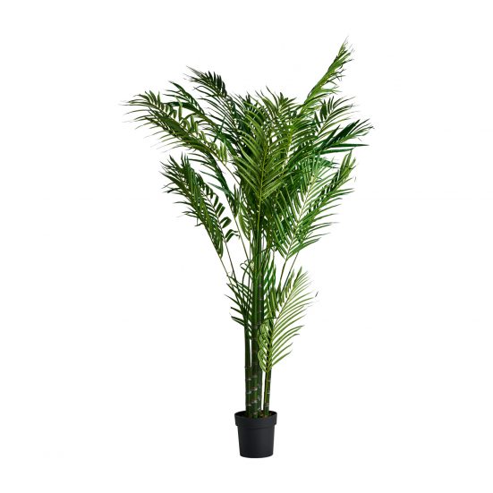 Planta palmera, en color verde, de estilo colonial. Fabricado en poliéster, combinado con plástico.