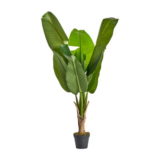 Planta bananera, en color verde, de estilo colonial. Fabricado en poliéster.