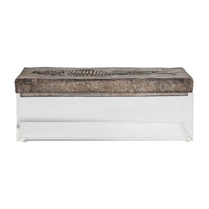 Caja de estilo vintage fabricado en resina en color marrón claro combinado con acrílico. Producto desmontable.