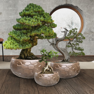 CANELA- SET 3 MACETEROS- BRONCE