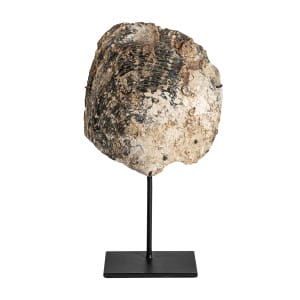 Figura decorativa Andrew de estilo nórdico, fabricado en concha en color tonos neutros, combinado con hierro en color negro. Producto desmontable.