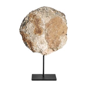 Figura decorativa Chedma de estilo nórdico, fabricado en concha en color tonos neutros, combinado con hierro en color negro. Producto desmontable.