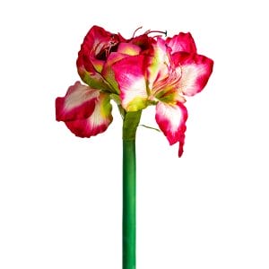 Flor Amaryllis de estilo clásico, fabricado en plástico en color fucsia, combinado con poliéster.