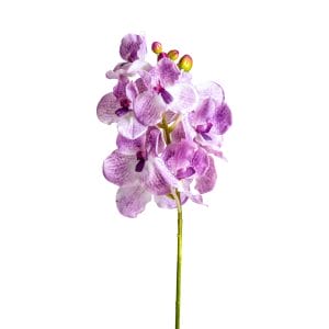 Flor Orquídea de estilo clásico, fabricado en plástico en color morado, combinado con poliéster.