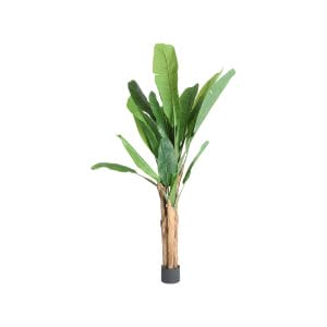 Planta Bananera de estilo contemporáneo, fabricado en plástico en color verde en color marrón claro en color negro. Producto plegable.