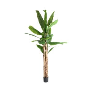Planta Bananera de estilo contemporáneo, fabricado en plástico en color verde en color marrón en color negro. Producto plegable.