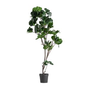 Planta Ficus de estilo clásico, fabricado en peva en color verde, combinado con polietileno en color marrón y cemento en color gris.