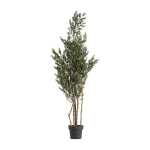 Planta Boj de estilo clásico, fabricado en polietileno en color verde, combinado con polipropileno en color negro y madera en color marrón.