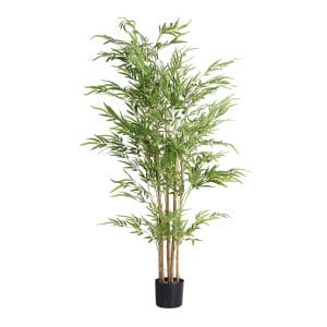 Planta Bambú de estilo clásico, fabricado en plástico en color verde en color marrón en color negro.