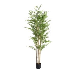 Planta Bambú de estilo clásico, fabricado en plástico en color verde en color marrón en color negro.