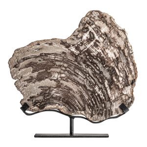 Figura decorativa Aurea de estilo nórdico, fabricado en madera petrificada en color gris, combinado con hierro en color negro. Producto desmontable.