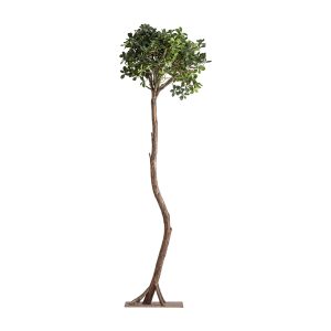 Planta Ficus de estilo clásico, fabricado en madera en color marrón, combinado con plástico en color marrón y fibra natural en color verde. Producto desmontable.